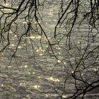 Blessington Lake's Shining