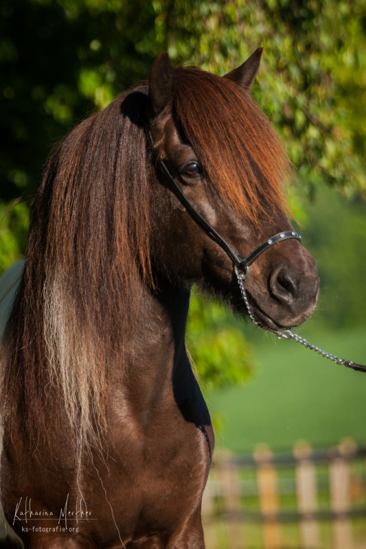 Blettur von Ascheloh