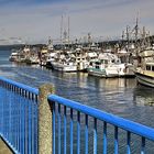 bleu à Campbell River