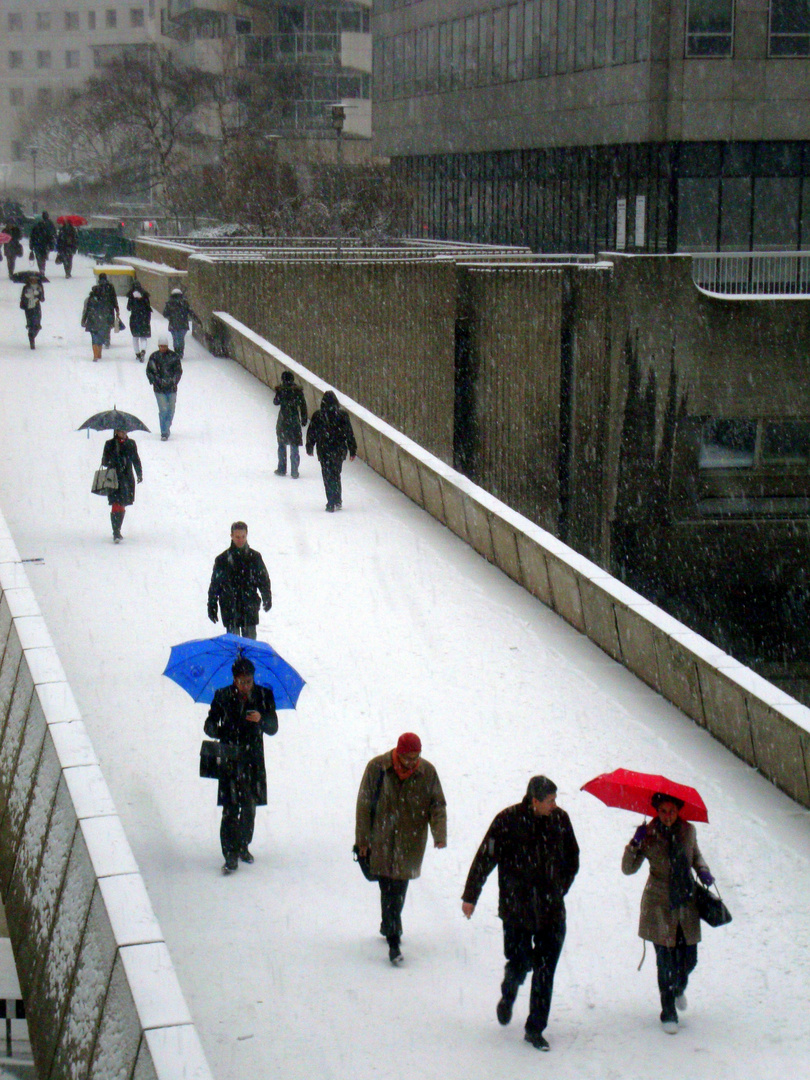 Bleu, blanc, neige