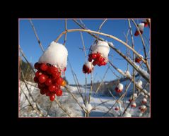 Bleu - Blanc - Rouge ...