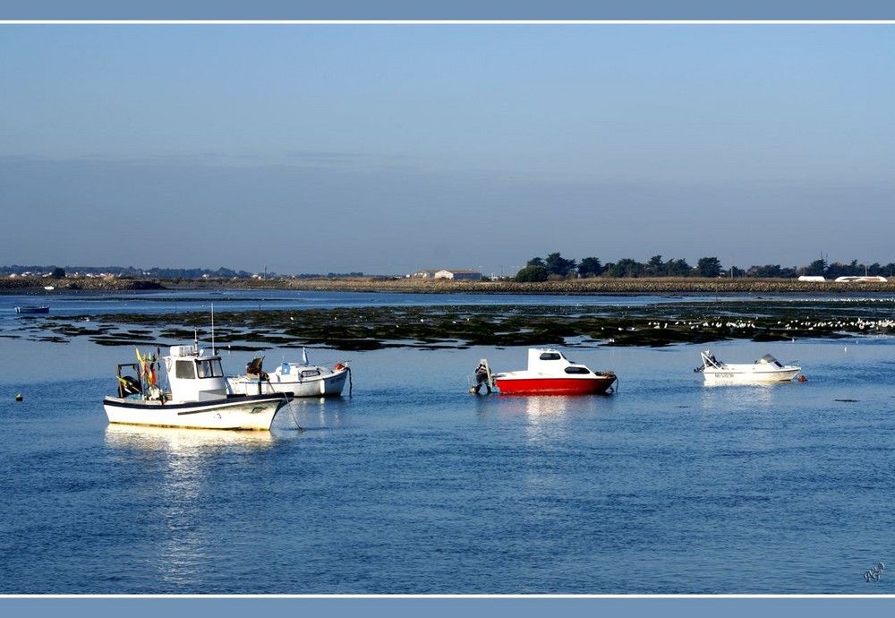 Bleu, bleu  .... à Noirmoutier