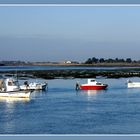 Bleu, bleu  .... à Noirmoutier