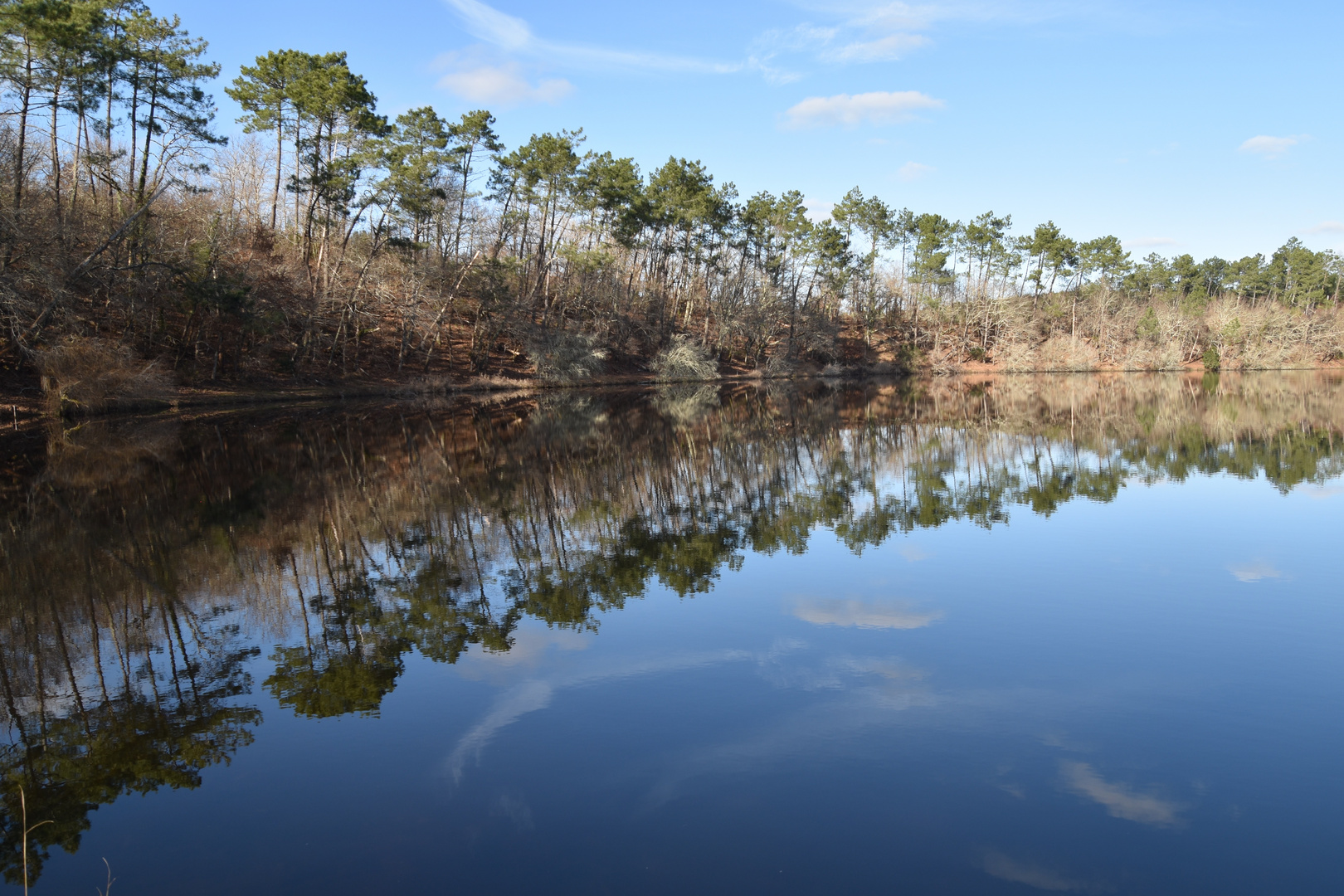 Bleu, bleu... le ciel des Landes !