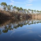 Bleu, bleu... le ciel des Landes !