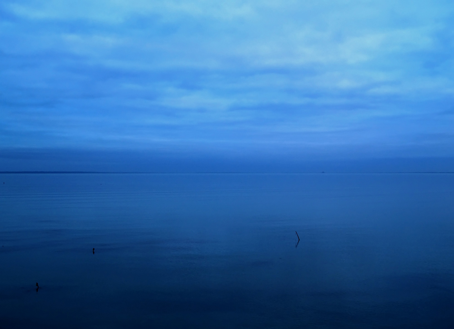 Bleu de Cancale