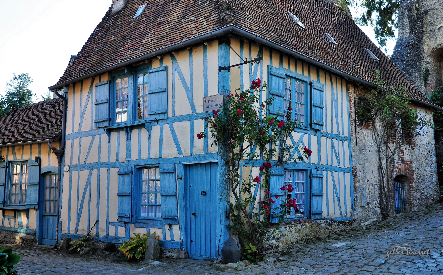 Bleu de Picardie