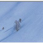 Bleu Glacé..........