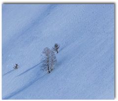 Bleu Glacé..........