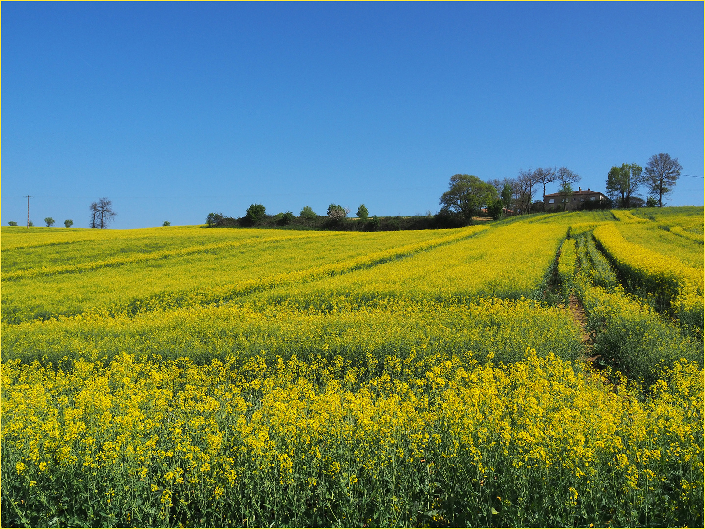 Bleu +  jaune =  vert