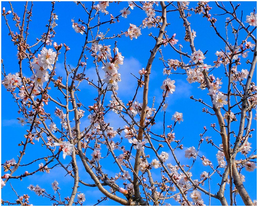 Bleu, le ciel de Provence...