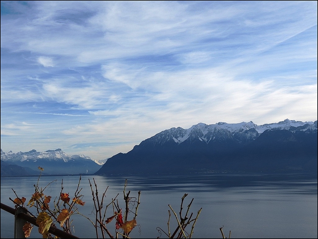 Bleu-léman !!!