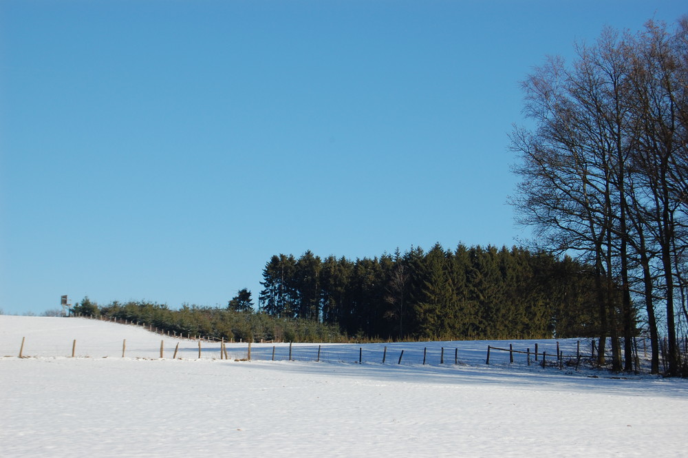 bleu-neige