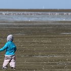 Bleu + où est la mouette ?