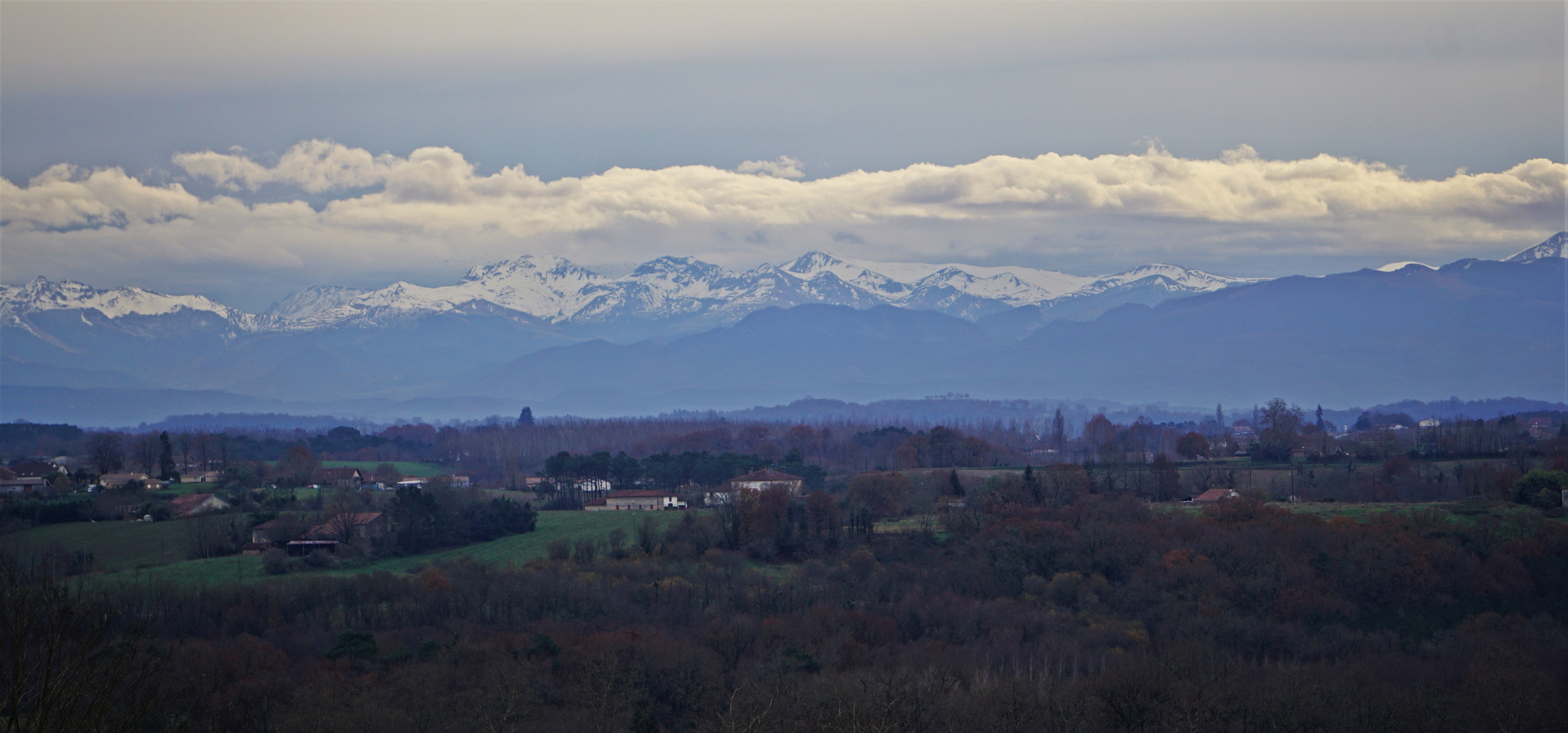 Bleu Pyrénéen.....