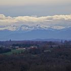 Bleu Pyrénéen.....