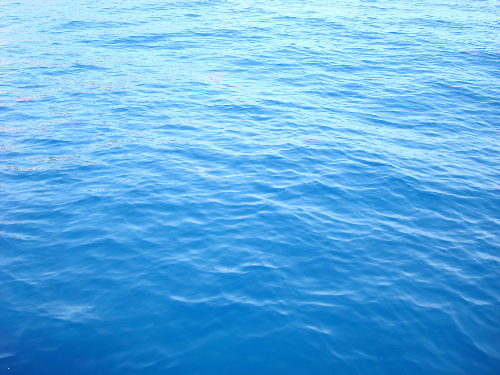 Bleus de Mer Méditerranée