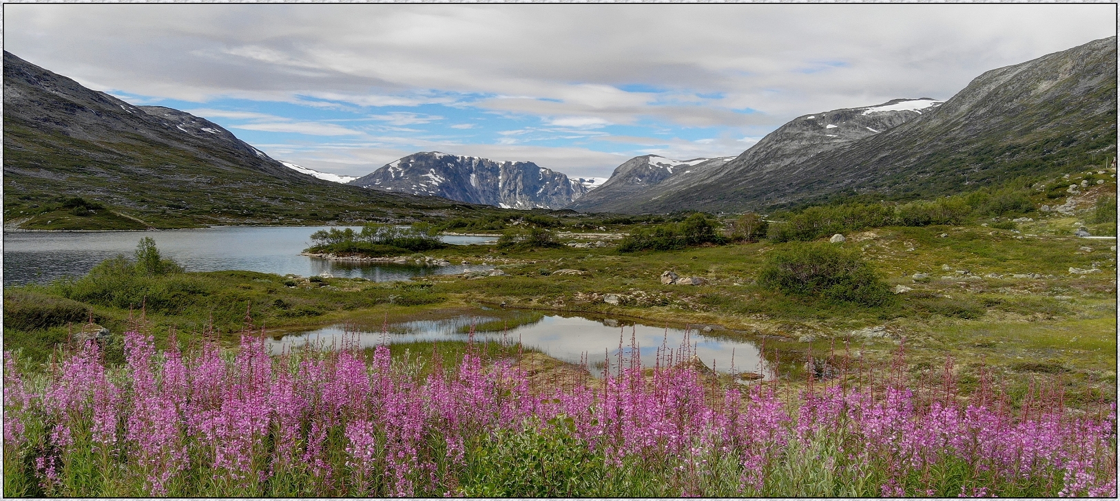 Blåfjellbrakka zwischhen Geiranger und Grottli; Camper Norwegenreise Juli 2018