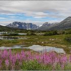 Blåfjellbrakka zwischhen Geiranger und Grottli; Camper Norwegenreise Juli 2018