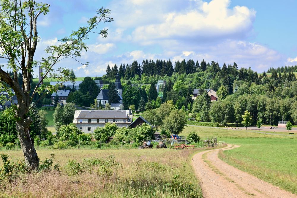 Blick (1) auf Schellerhau…