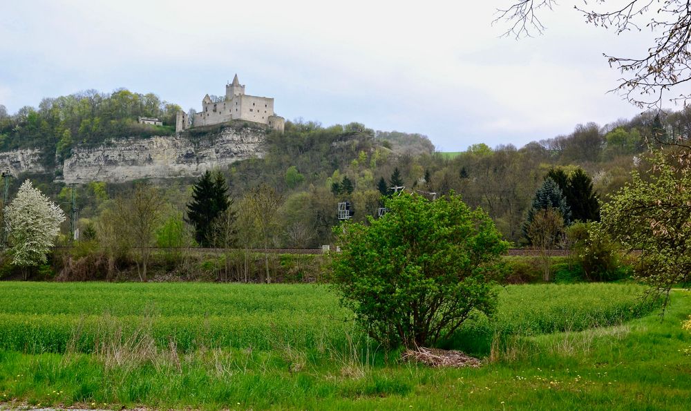 Blick (1) zur Rudelsburg…