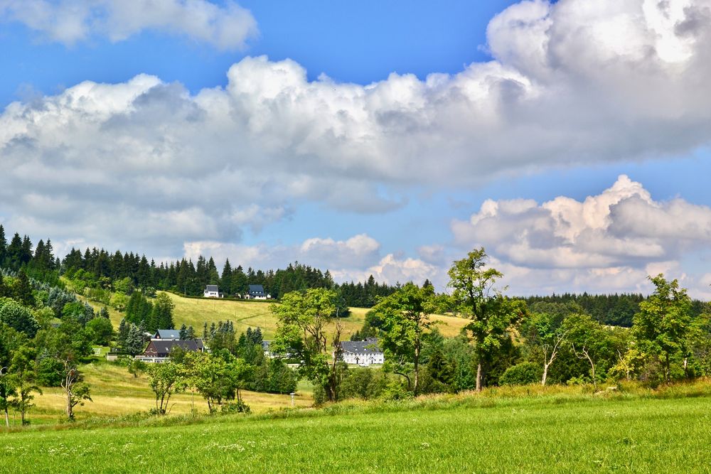 Blick (2) auf Schellerhau mit der Stephanshöhe…