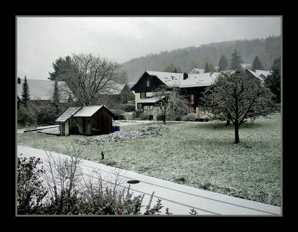 Blick am Morgen vom Balkon