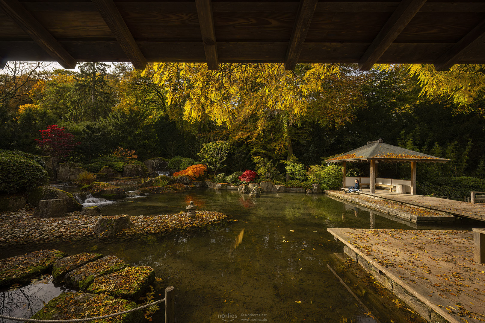 Blick am Pavillon