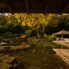 Blick am Pavillon