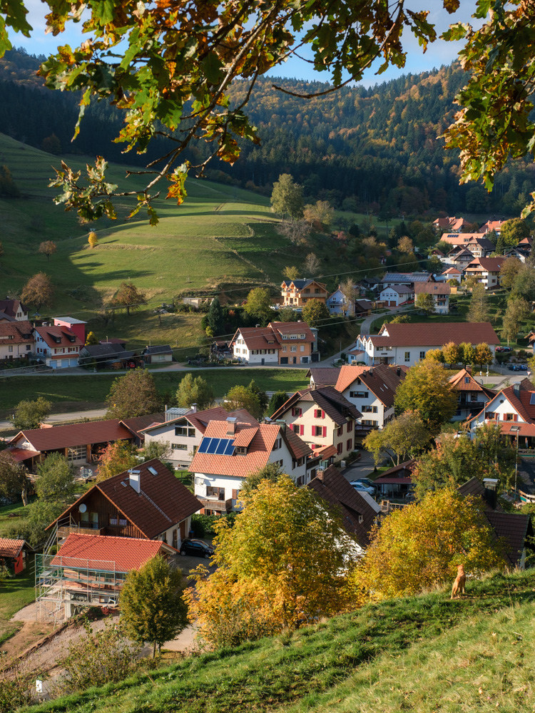 Blick auf ....