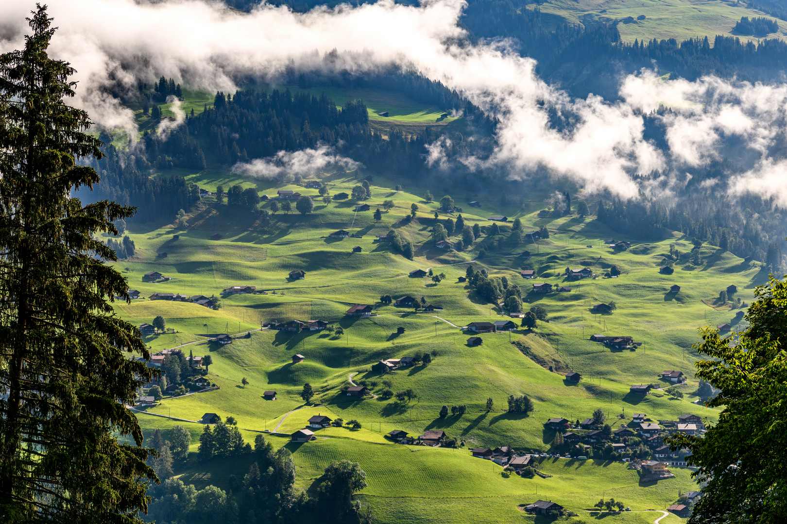 Blick auf Ägerten im Berner Oberland - Schweiz