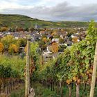 Blick auf Ahrweiler