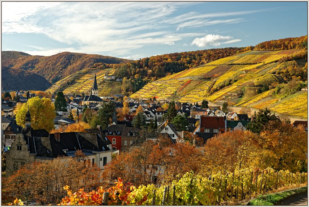 Blick auf Ahrweiler