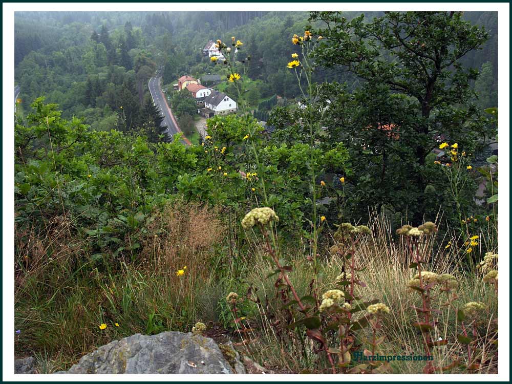 Blick auf Alexisbad