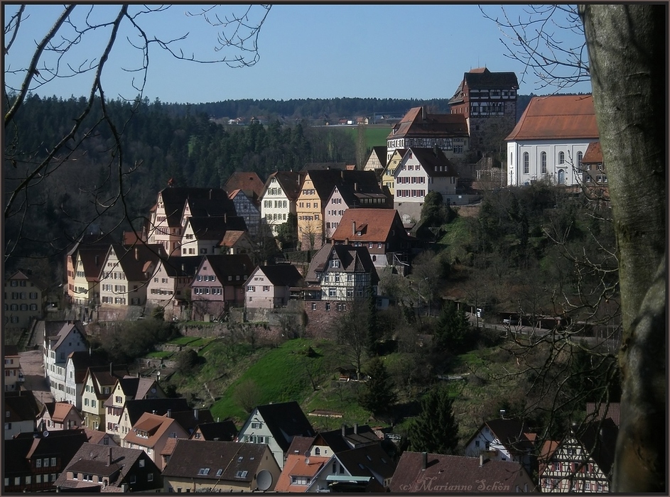 Blick auf Altensteig