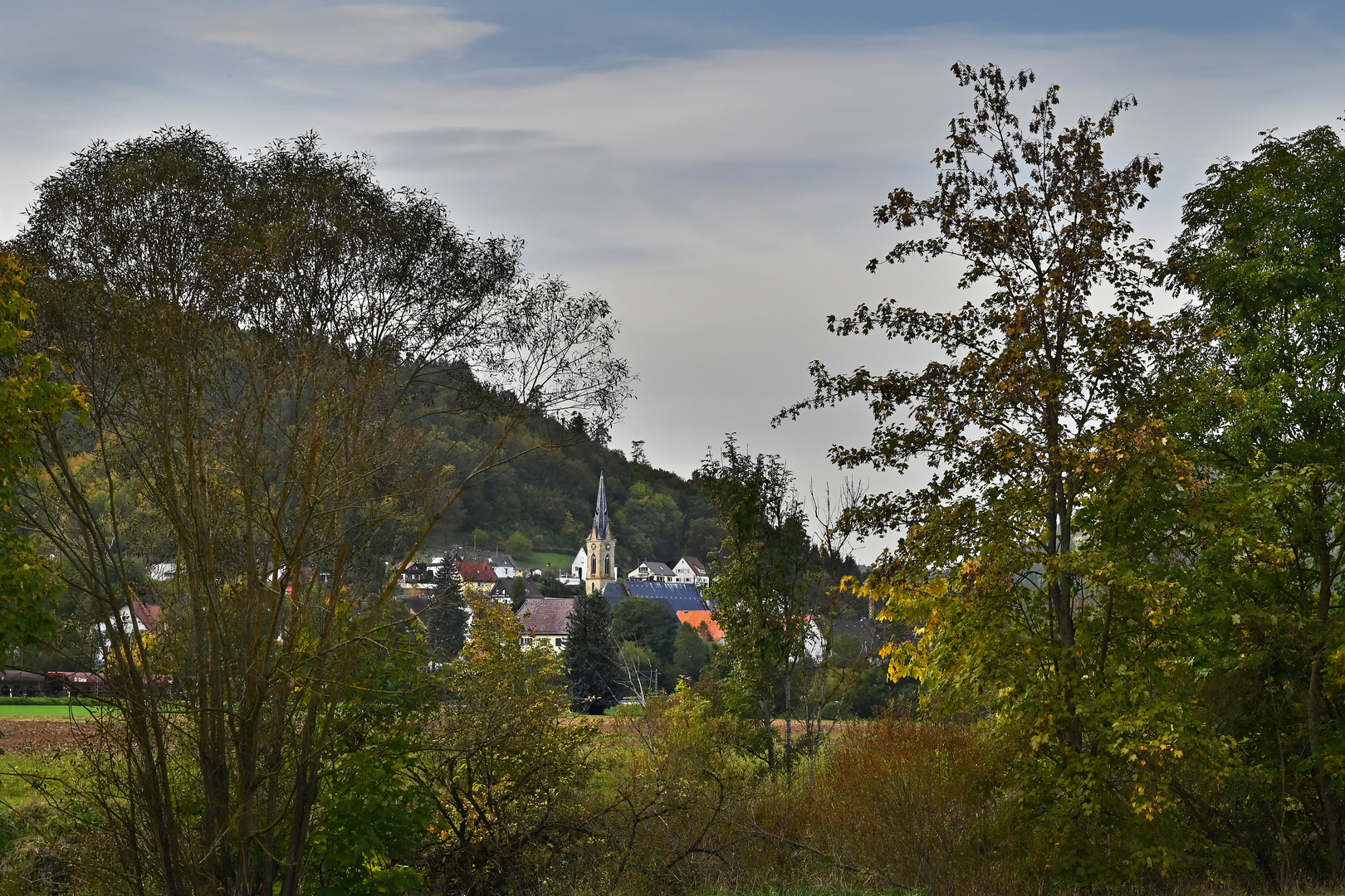 Blick auf Altoberndorf/Neckar