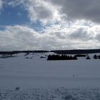 "Blick auf Altsteußlingen von Dächingen aus"