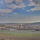 Blick auf Alzey von den Weinbergen