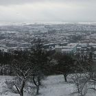 Blick auf Amberg