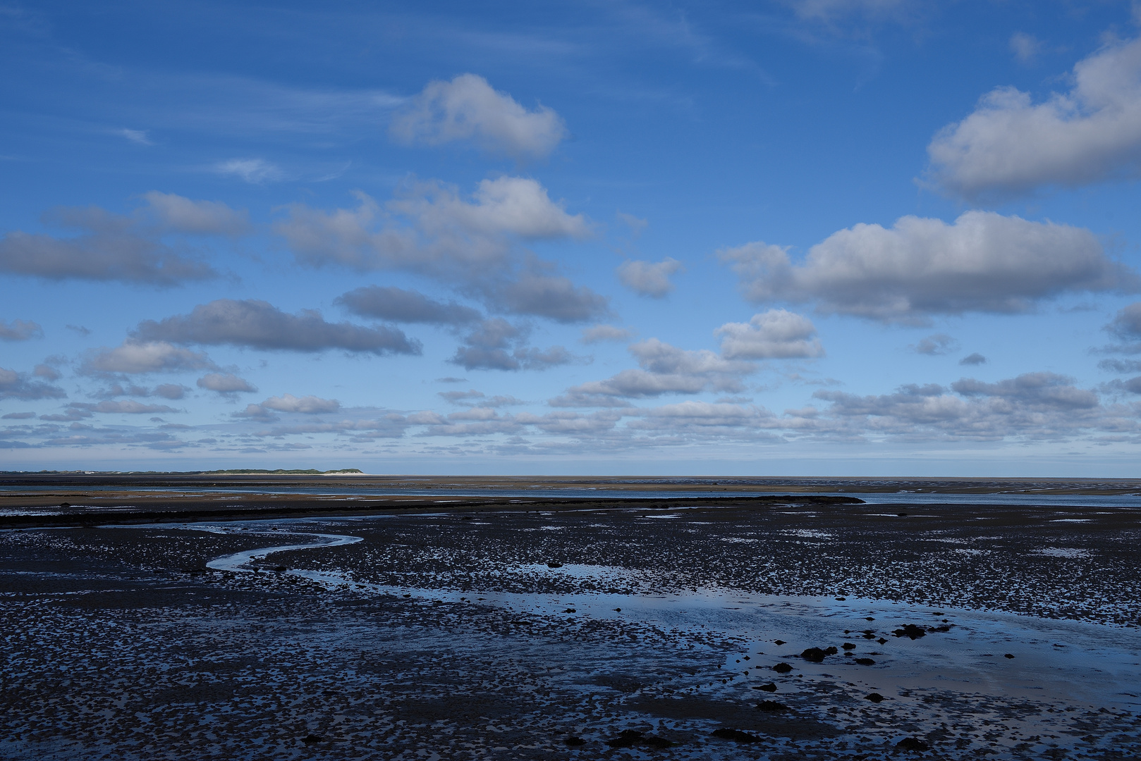 Blick auf Amrum