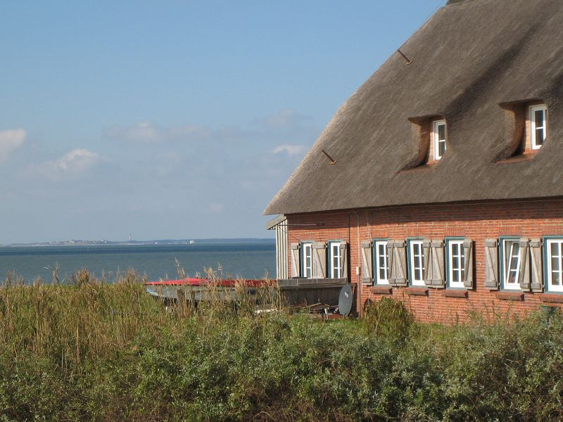 Blick auf Amrum