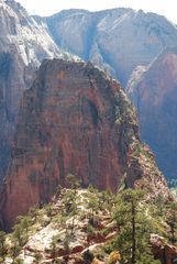 Blick auf Angels Landing im Zion National Park