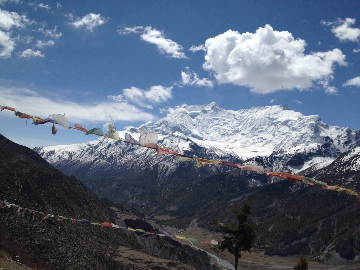 Blick auf Annapurna 2