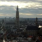 Blick auf Antwerpen