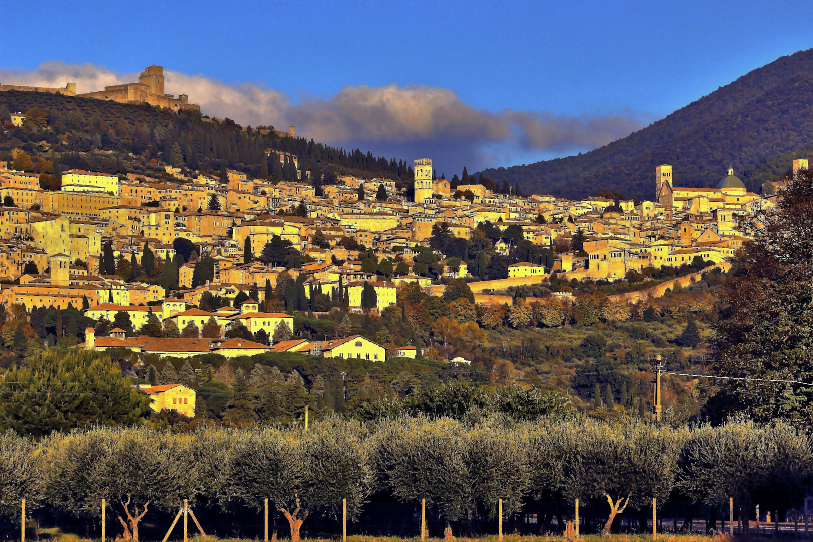 Blick auf Assisi