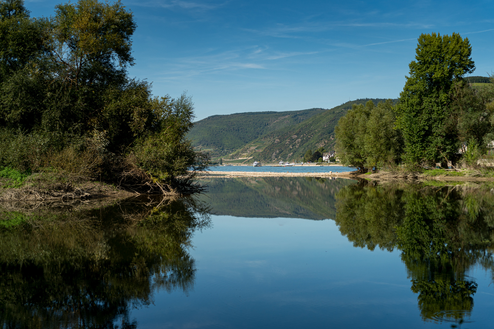 Blick auf Assmannshausen