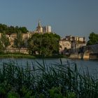 Blick auf Avignon