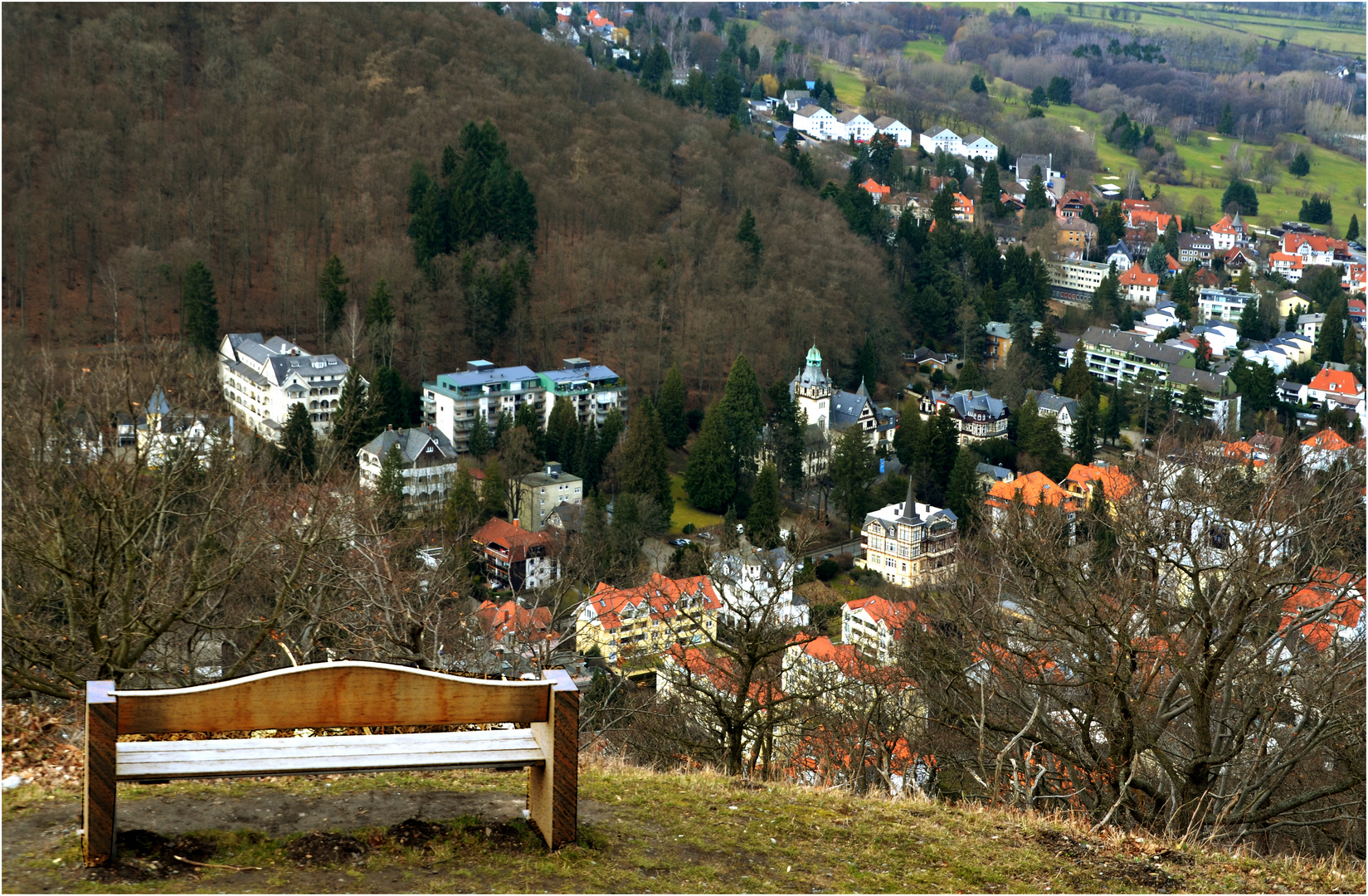 Blick auf Bad Harzburg