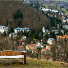 Blick auf Bad Harzburg