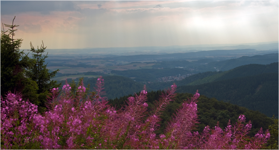 Blick auf Bad Lauterberg